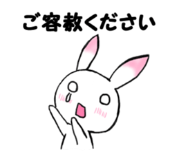 apologizes rabbit sticker #3894613