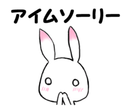 apologizes rabbit sticker #3894615