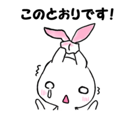 apologizes rabbit sticker #3894628