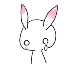 apologizes rabbit sticker #3894639