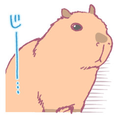 Capybara is gazing afar.