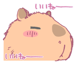 Capybara is gazing afar. sticker #3895447