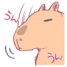 Capybara is gazing afar. sticker #3895449