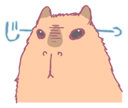 Capybara is gazing afar. sticker #3895453