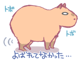 Capybara is gazing afar. sticker #3895456