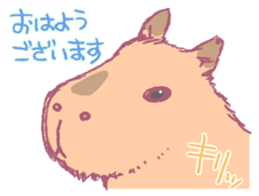 Capybara is gazing afar. sticker #3895461