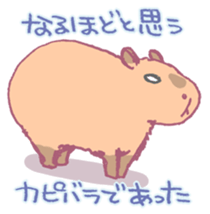 Capybara is gazing afar. sticker #3895464