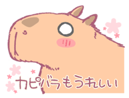 Capybara is gazing afar. sticker #3895465