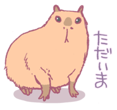 Capybara is gazing afar. sticker #3895473