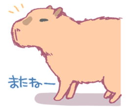 Capybara is gazing afar. sticker #3895477