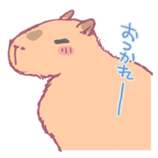 Capybara is gazing afar. sticker #3895478