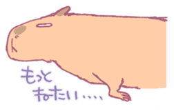 Capybara is gazing afar. sticker #3895480