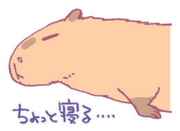 Capybara is gazing afar. sticker #3895481