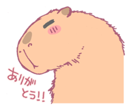 Capybara is gazing afar. sticker #3895483