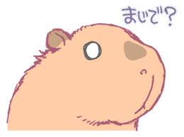 Capybara is gazing afar. sticker #3895485