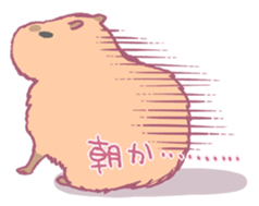 Capybara is gazing afar. sticker #3895486