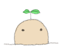 Round and square sticker #3898208