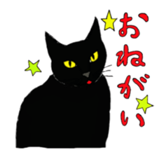 My Cats sticker #3898498