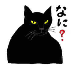 My Cats sticker #3898500