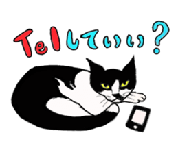 My Cats sticker #3898511