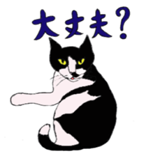 My Cats sticker #3898514