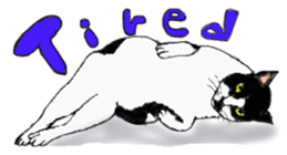 My Cats sticker #3898516