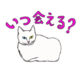 My Cats sticker #3898521