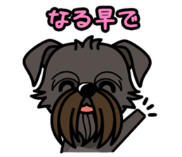 iinu - Belgian Griffon sticker #3898567