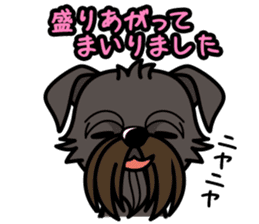 iinu - Belgian Griffon sticker #3898582