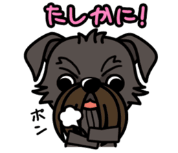 iinu - Belgian Griffon sticker #3898584