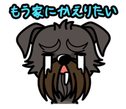 iinu - Belgian Griffon sticker #3898588