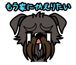iinu - Belgian Griffon sticker #3898588