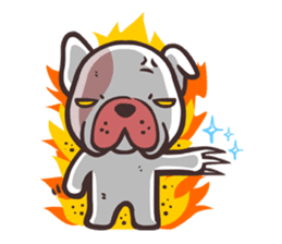 Bulldy sticker #3899343