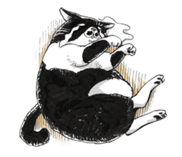 Male Cat Kazuo  Nakamura sticker #3899896