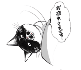 Male Cat Kazuo  Nakamura sticker #3899899