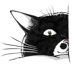 Male Cat Kazuo  Nakamura sticker #3899900