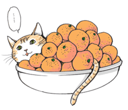 Male Cat Kazuo  Nakamura sticker #3899902