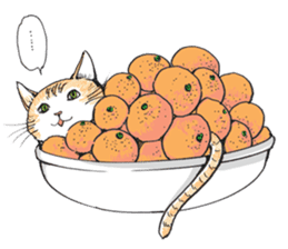 Male Cat Kazuo Nakamura sticker #3899902