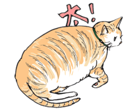 Male Cat Kazuo  Nakamura sticker #3899904