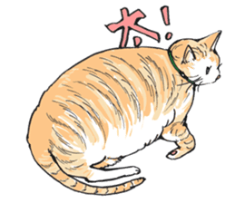 Male Cat Kazuo Nakamura sticker #3899904