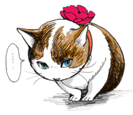 Male Cat Kazuo  Nakamura sticker #3899906