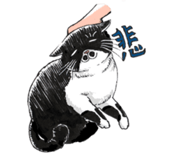 Male Cat Kazuo  Nakamura sticker #3899907