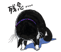 Male Cat Kazuo  Nakamura sticker #3899918