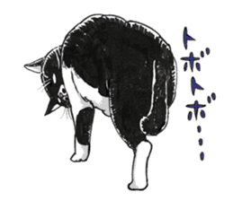 Male Cat Kazuo  Nakamura sticker #3899921