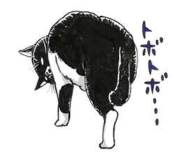 Male Cat Kazuo Nakamura sticker #3899921