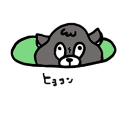 Playful dog Poe sticker sticker #3910503