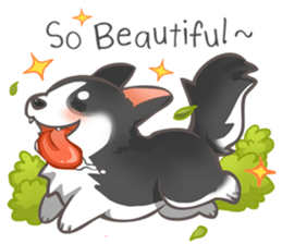 Corgi 'the boss' sticker #3912609