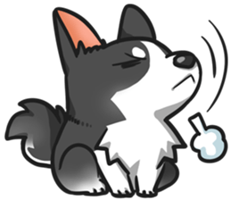 Corgi 'the boss' sticker #3912617