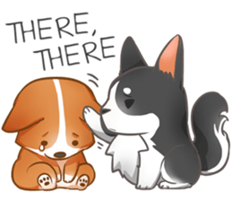 Corgi 'the boss' sticker #3912643