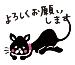 blackcats sticker #3914948